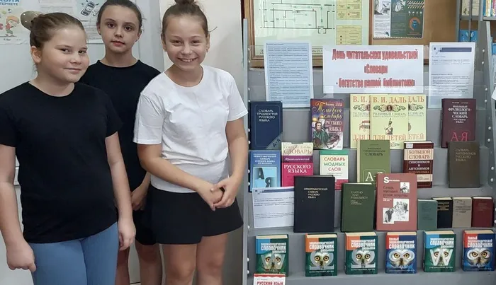 бф18Словари- богатство нашей библиотеки  (2)
