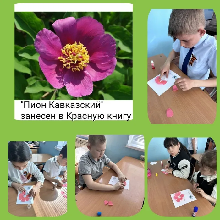 БФ 14 Сохраним природу Ставрополья краевая экологическая акция 2