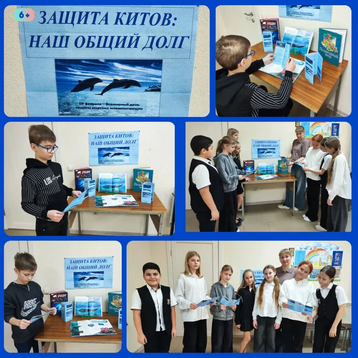 InShot_20260219_163715953