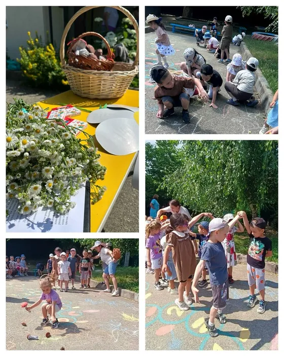 БФ 14 Ромашковая Русь