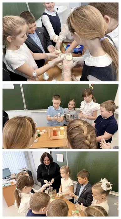 Бф 13 науки разные нужны (1)